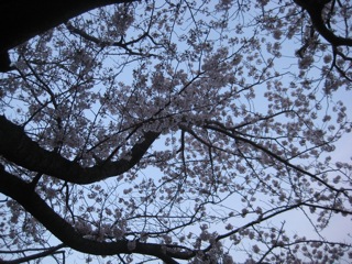IMG_9867.jpg