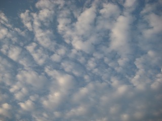 IMG_9981.jpg