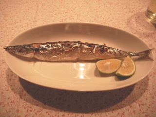 P1000209.jpg
