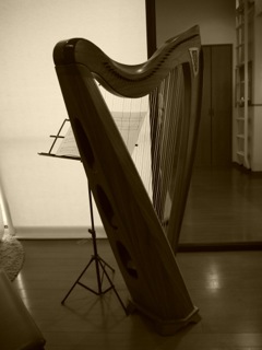 P1010302.jpg