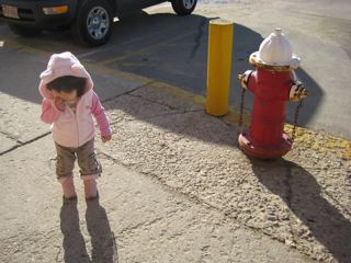 IMG_0262.jpg