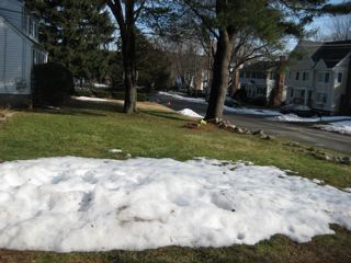 IMG_0265.jpg