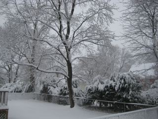 IMG_0271.jpg