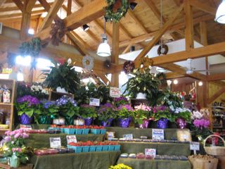 IMG_0326.jpg