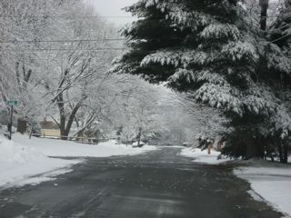 IMG_0422.jpg