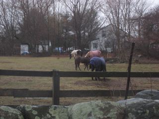IMG_0762.jpg