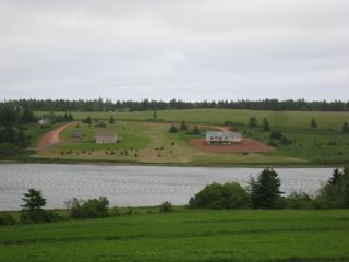 IMG_1244.jpg