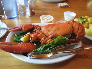 IMG_1264.jpg