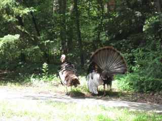 IMG_1440.jpg