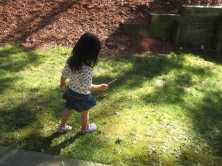 IMG_2649.jpg