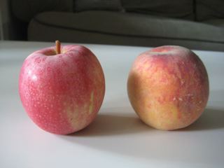 IMG_2691.jpg