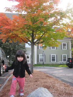 IMG_2916.jpg