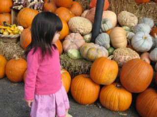 IMG_3112.jpg