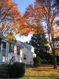 IMG_3258.jpg