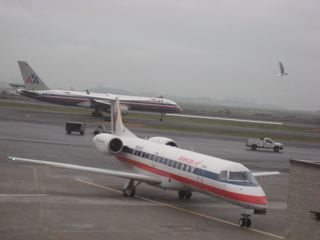 IMG_3391.jpg