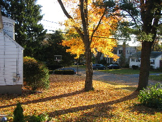 IMG_3486.jpg