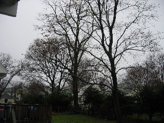 IMG_3640.jpg