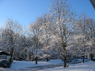 IMG_3983.jpg