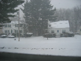 IMG_4216.jpg