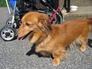 IMG_4448.jpg