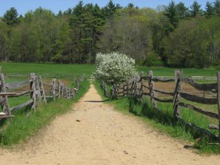 IMG_4539.jpg