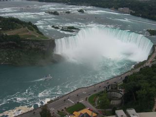 IMG_5950.jpg