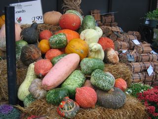 IMG_6212_2.jpg