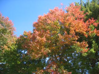 IMG_6243.jpg