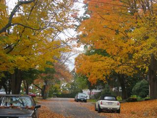 IMG_6356.jpg