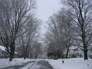 IMG_6663.jpg