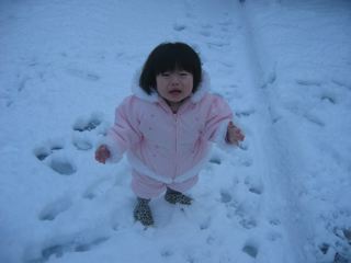 IMG_6668.jpg
