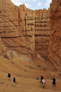 _DSC1305.jpg