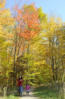 _DSC2687.jpg