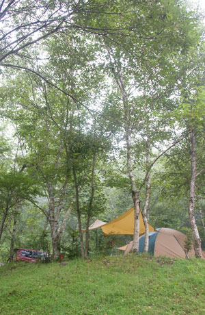 camp11081.jpg